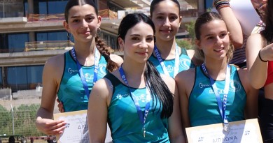 %cf%83%ce%ba%cf%85%cf%84%ce%b1%ce%bb%ce%b7-4-%cf%87-80%ce%bc